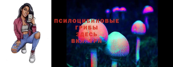 2c-b Гусь-Хрустальный