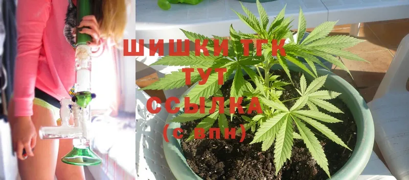 закладки  Кемерово  Марихуана SATIVA & INDICA 